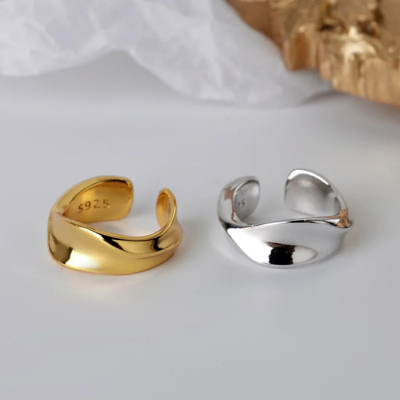Boucle d'oreille abstraite torsadée E1087, 1 pièce