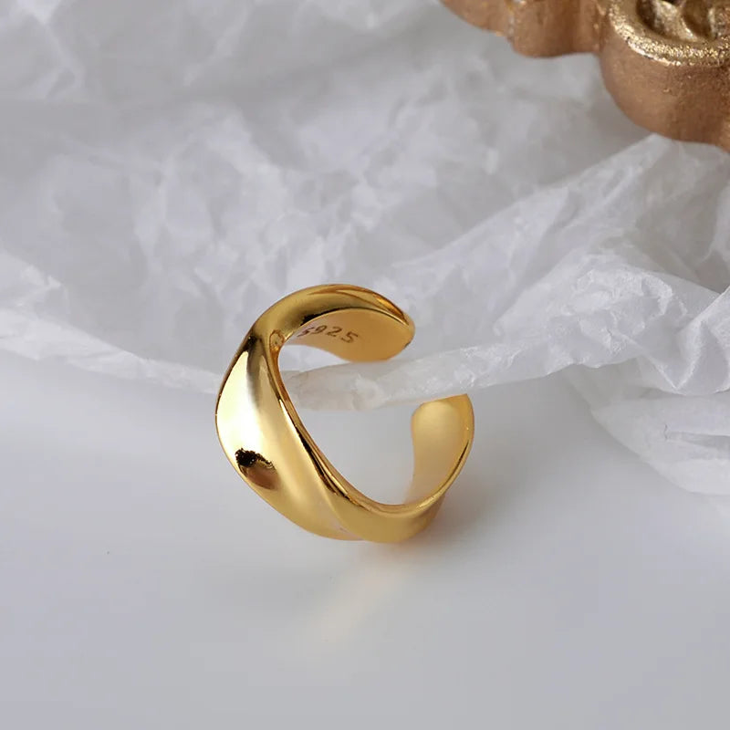 Boucle d'oreille abstraite torsadée E1087, 1 pièce