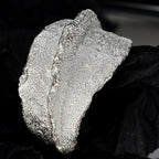 Grosse bague mate bio R1230