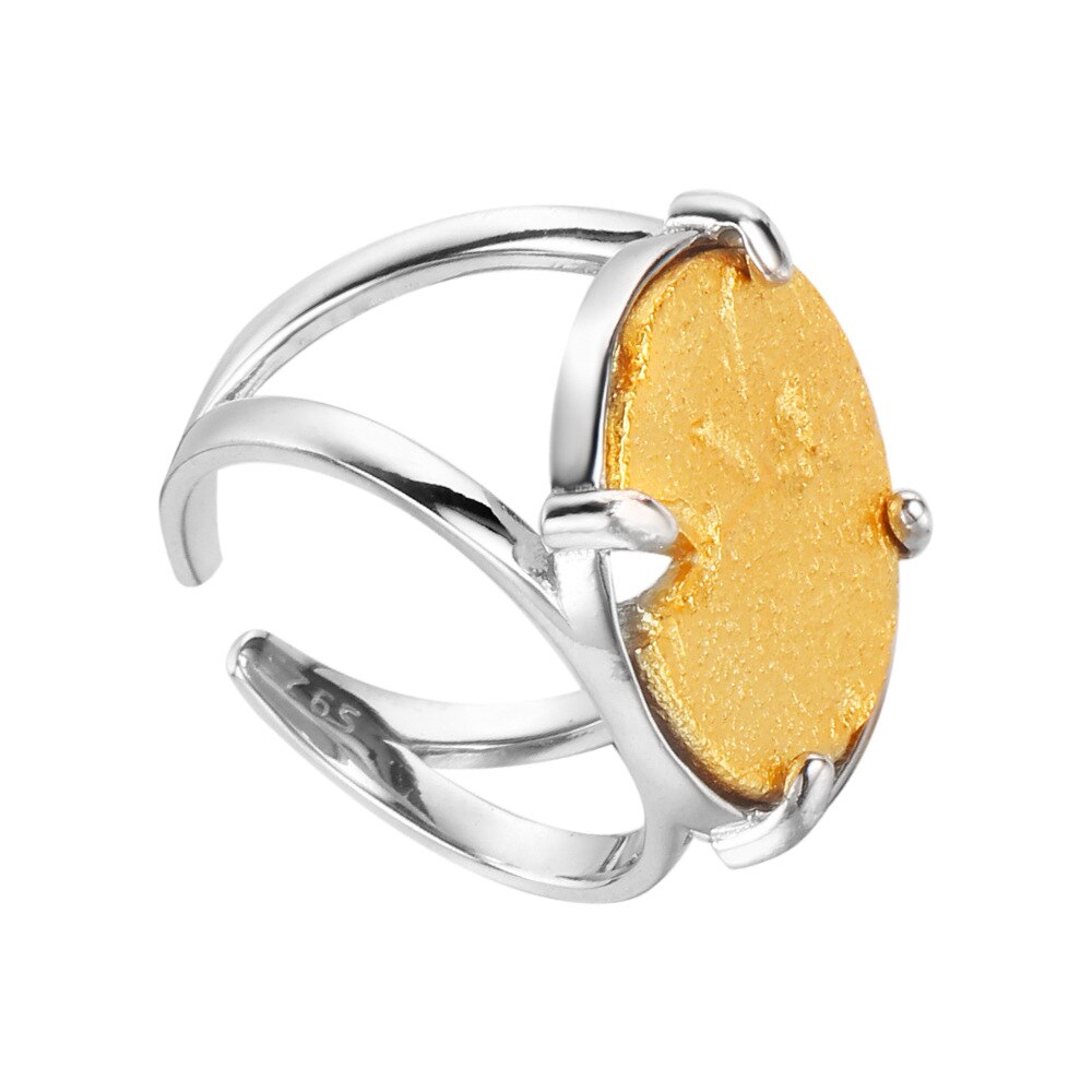 Anneau de disque épais mat pour pièce de monnaie R1208